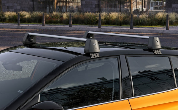 Fabia discount roof rack