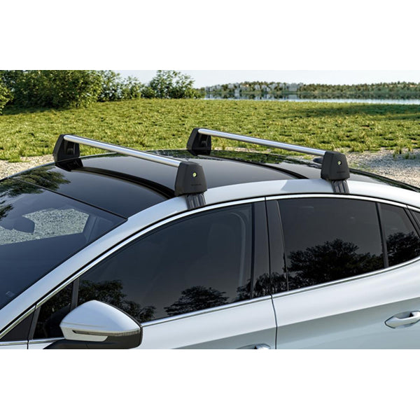 Roof rack for 2 door car sale