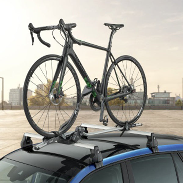 Lockable Bicycle Carrier