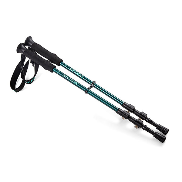 Trekking Sticks