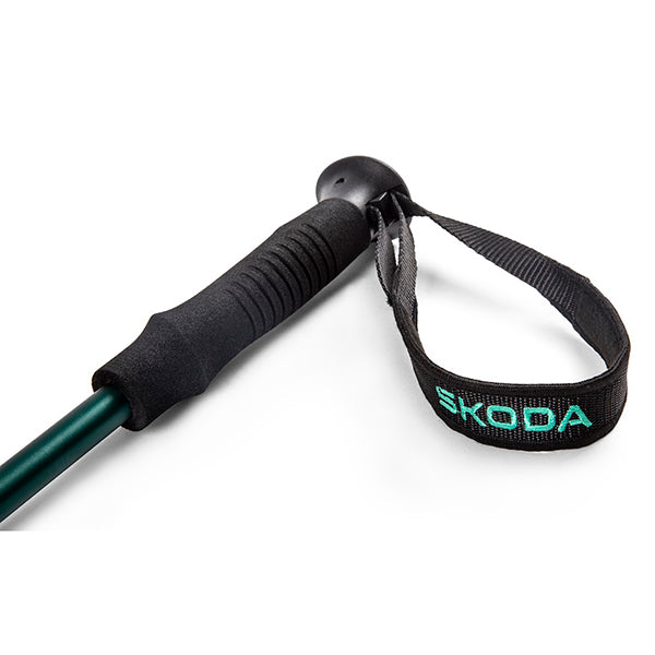 Trekking Sticks