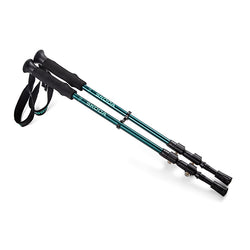 Trekking Sticks